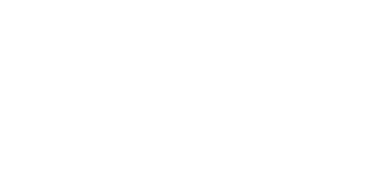 Basadi