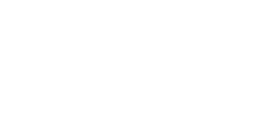 Zenzele